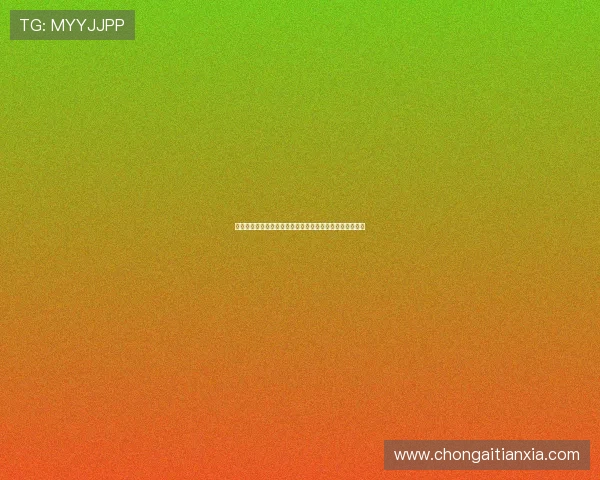 法尔克：金玟哉希望通过剩余季前赛评估自己能否获得重用